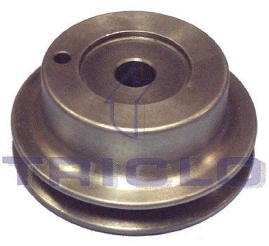 TRICLO Pulley, power steering pump Article number: 421523 cheaply