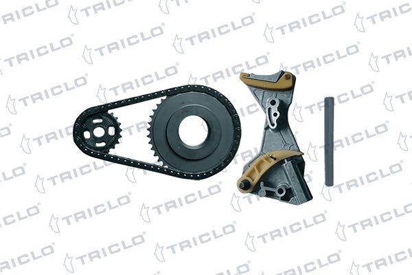 TRICLO 422167 Keti komplekt, õlipumbavedu PASSAT 2.0 TDI 136 HP Diisel 2011