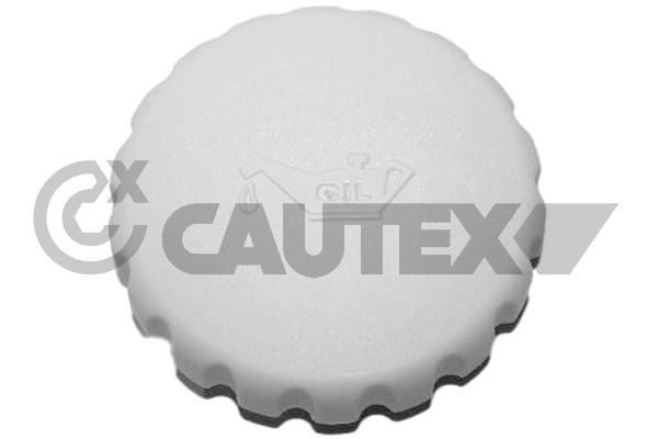 CAUTEX 481076 Lukk, õlitäite ühendustoru CORSA 1.3 CDTI (F08, F68) 70 HP Diisel 2009