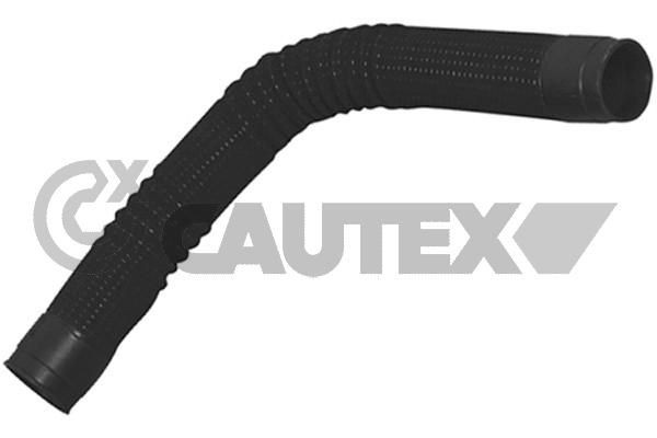 CAUTEX Intake pipe, air filter Article number: 486539 cheaply