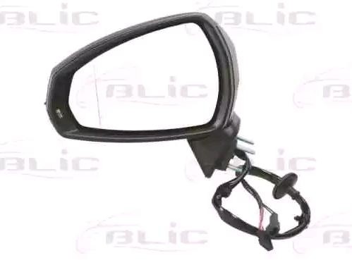 BLIC Wing mirror Article number: 5402-25-2001019P cheaply