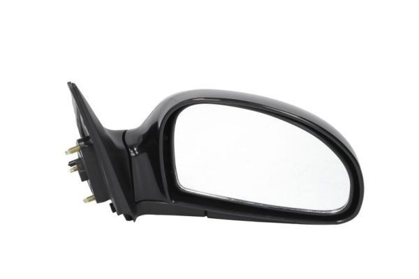 BLIC Wing mirror Article number: 5402-53-2001496P cheaply