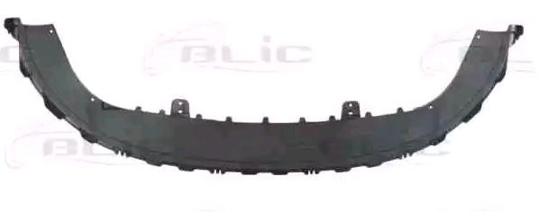 BLIC Front splitter Article number: 5511-00-6621220Q cheaply