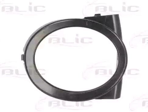 BLIC Bumper grill Article number: 5513-00-0061931P cheaply