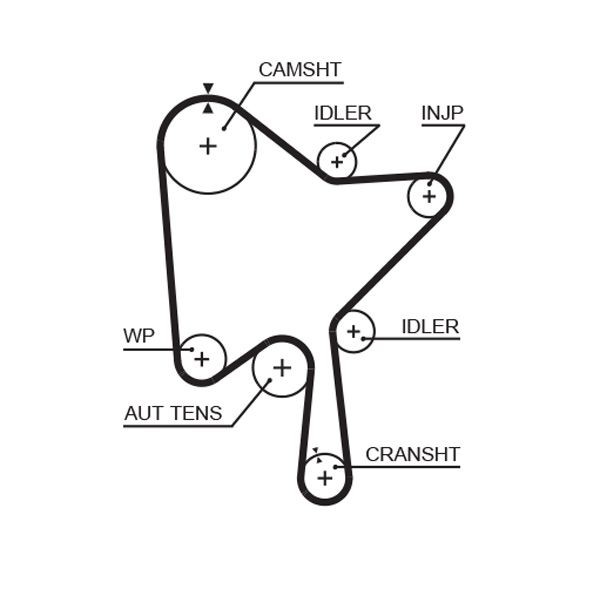 GATES Timing Belt Article number: 5686XS cheaply