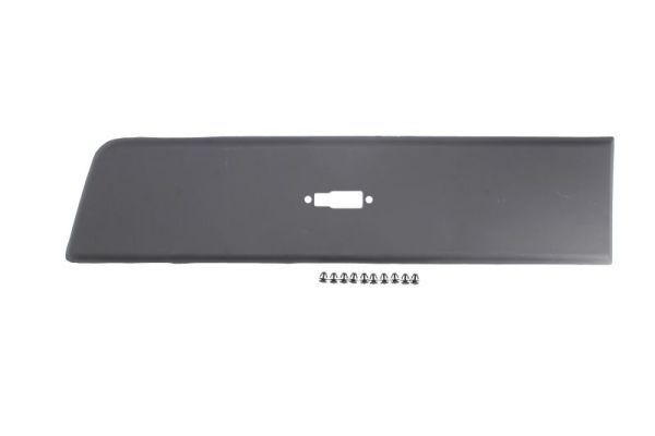 BLIC Trim / Protective Strip, sidewall Article number: 5703-04-2097581P cheaply