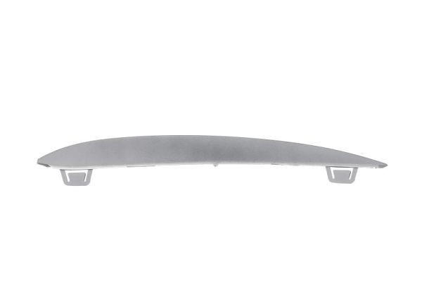 BLIC Bumper moulding Article number: 6502-07-0067928P cheaply