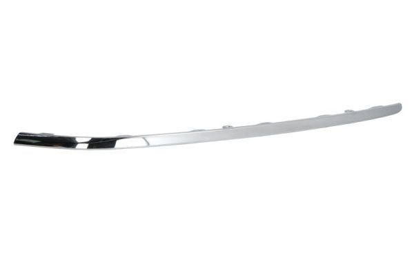 BLIC 6502-07-9547911P Bumper moulding PASSAT 1.4 TSI MultiFuel 160 PS Petrol/Ethanol 2014