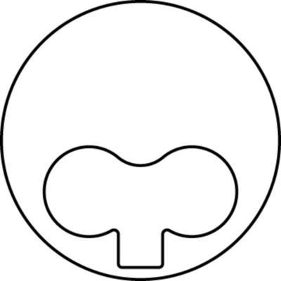 MAHLE ORIGINAL Piston Article number: 681 13 01 cheaply