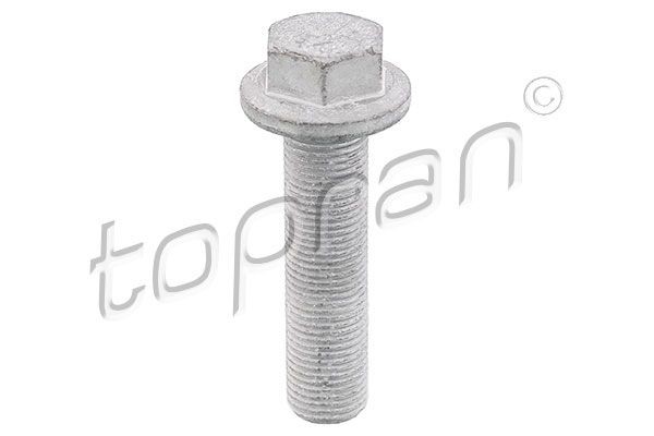 TOPRAN 701 617 Pulley Bolt MASTER 2.3 dCi 100 FWD (JV0A, JV0B, JV0G, JV0H) 101 PS Diesel