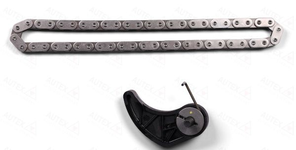 AUTEX 711376 Chain Set, oil pump drive PASSAT 1.8 T 170 PS Petrol 2005