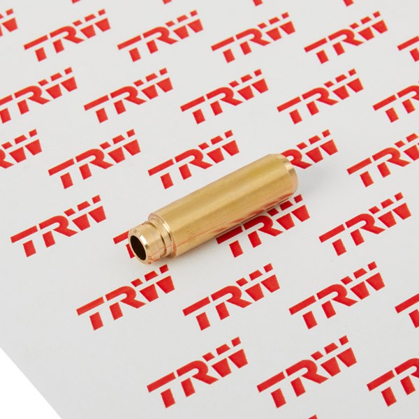 TRW Engine Component 81-51000 Valve Guides MODUS 1.5 dCi 86 PS Diesel