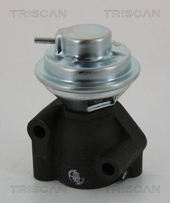 TRISCAN EGR-klapp Artikli number: 8813 43040 soodsalt