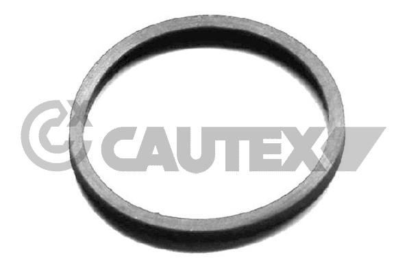 CAUTEX Gasket, thermostat Article number: 954208 cheaply