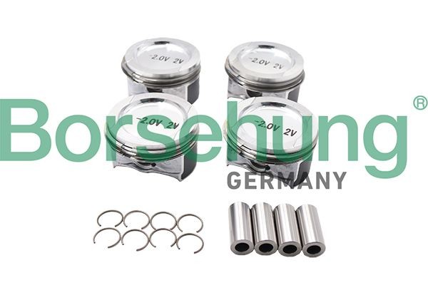Borsehung Piston Ring Kit Article number: B13581 cheaply