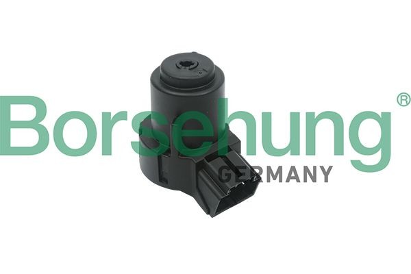 Borsehung B17994 Ignition switch FABIA 1.4 TSI RS 180 PS Petrol 2014