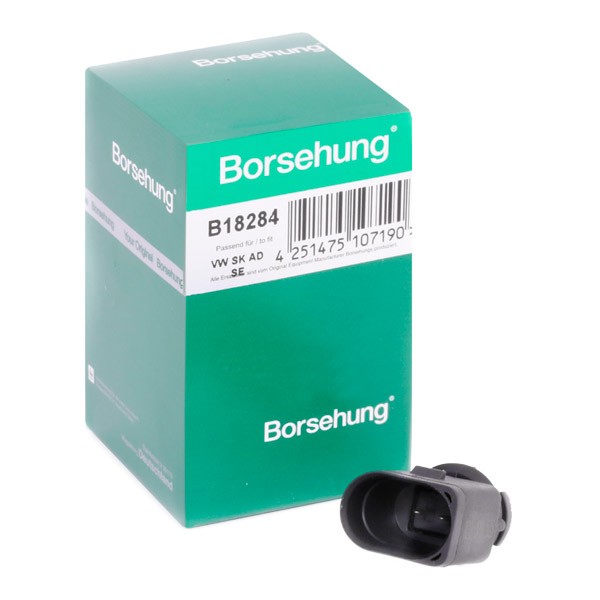 Borsehung Sensor, indsugningstemp. Varenummer: B18284 billige