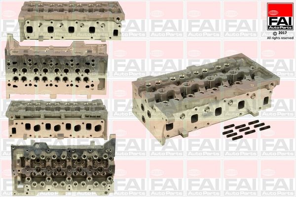 FAI AutoParts Cylinder Head Article number: BCH011 cheaply