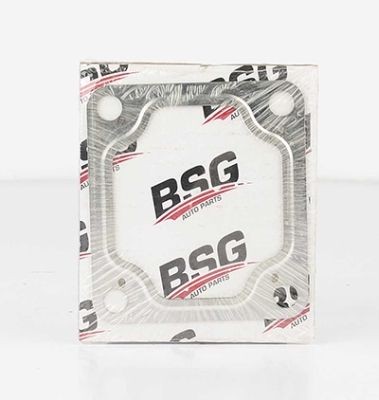 BSG Exhaust pipe gasket Article number: BSG 30-116-025 cheaply