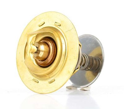 BSG Thermostat Article number: BSG 30-125-004 cheaply