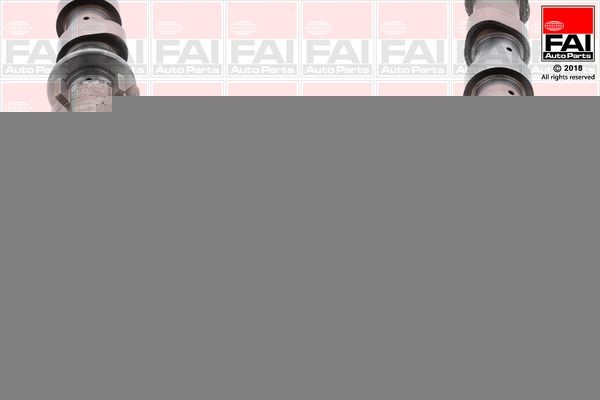 FAI AutoParts Nukkvõll Artikli number: C351 soodsalt