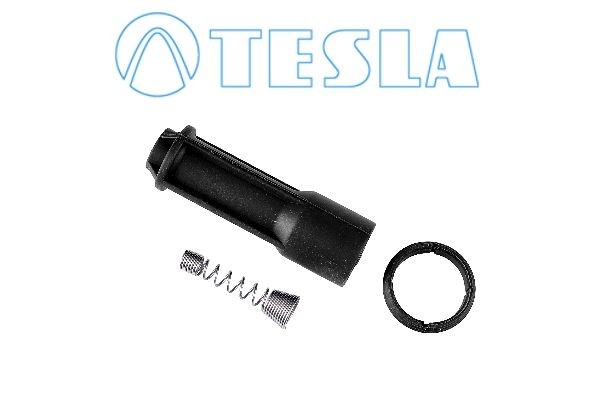 TESLA CP072 Plug, spark plug DOBLO 1.4 95 PS Petrol