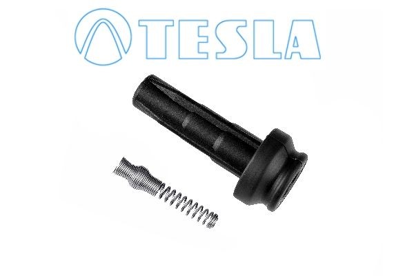 TESLA CP073 Plug, spark plug SCUDO 2.0 16V 136 PS Petrol 2006