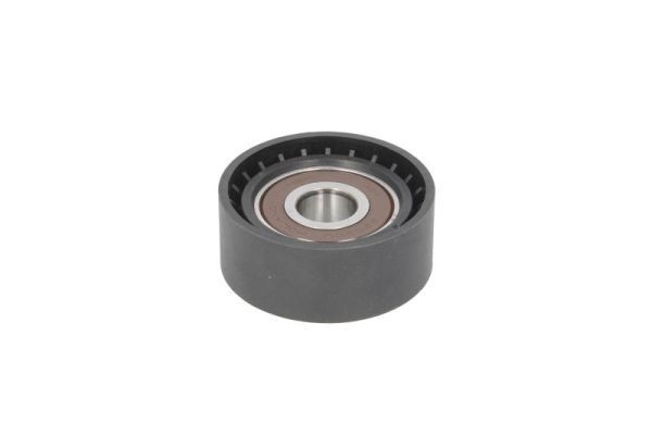 BTA Tensioner Lever, v-ribbed belt Article number: E2B0049BTA cheaply