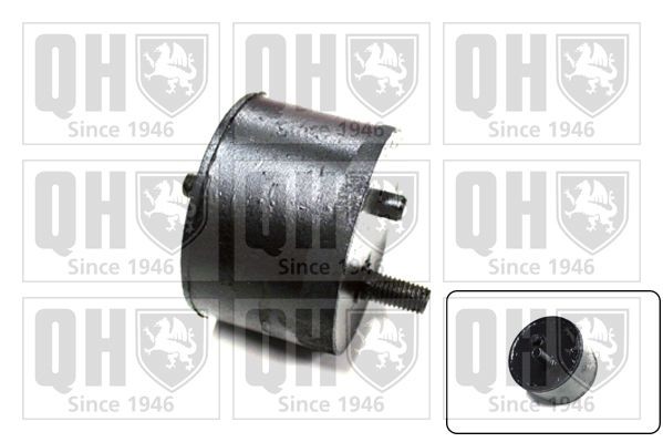 QUINTON HAZELL Engine mount Article number: EM1516 cheaply