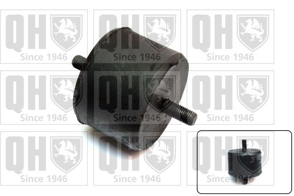 QUINTON HAZELL Engine mount Article number: EM672 cheaply