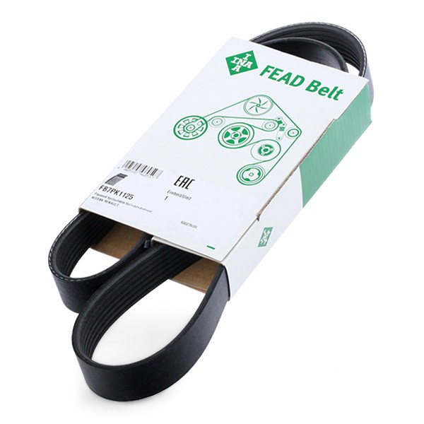INA Serpentine belt Article number: FB 7PK1125 cheaply