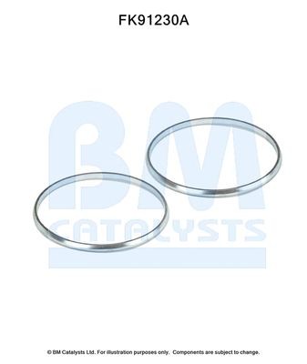 BM CATALYSTS Mounting Kit, catalytic converter Article number: FK91230 cheaply