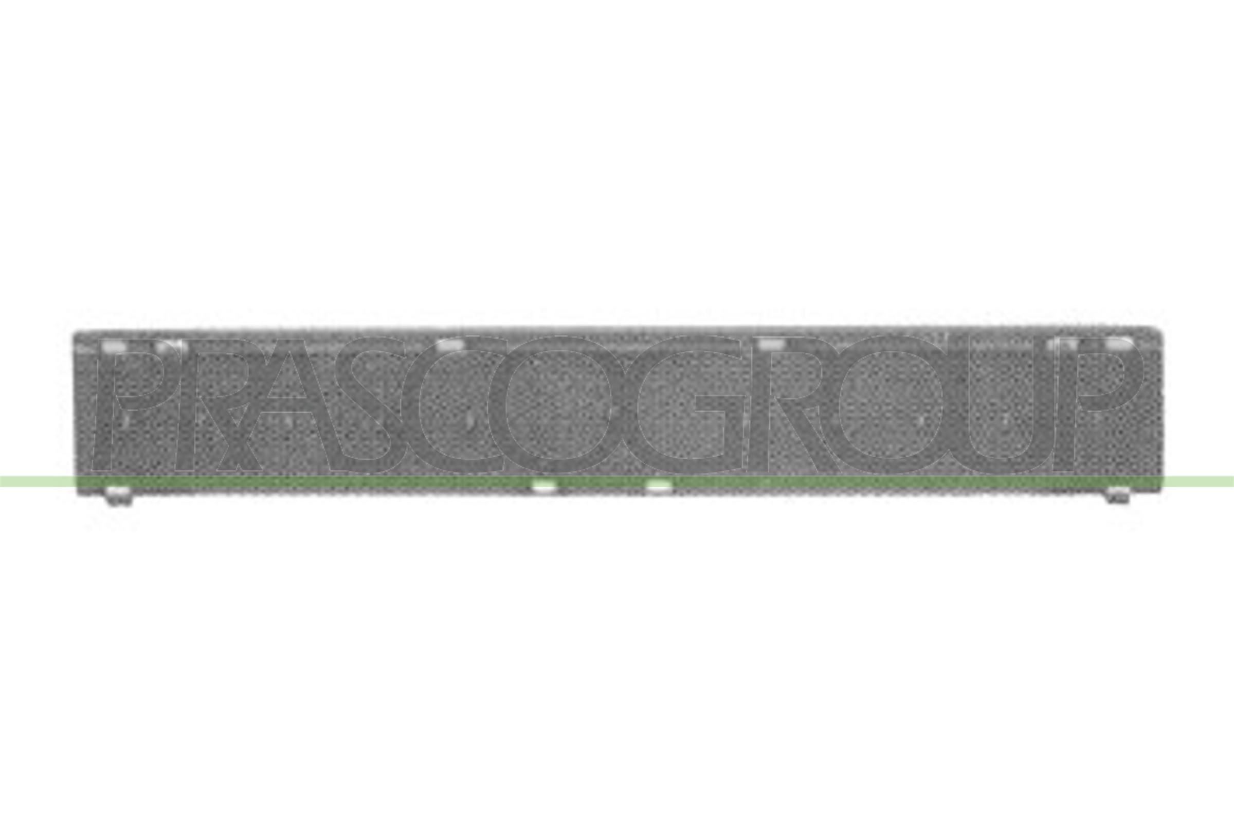PRASCO Radiator Grille Article number: FT1292011 cheaply