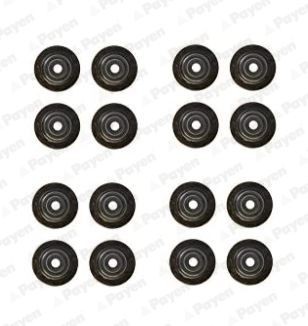 PAYEN Seal Set, valve stem Article number: HR5125 cheaply