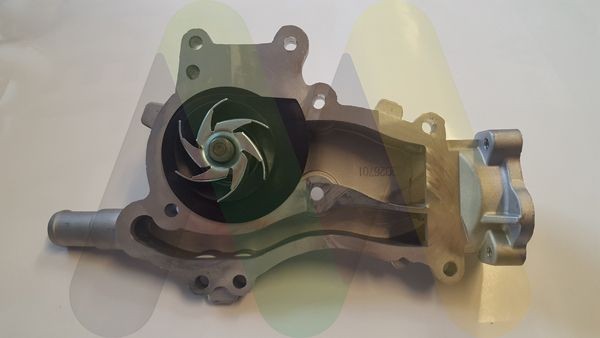 MOTAQUIP Veepump Artikli number: LVWP961 soodsalt