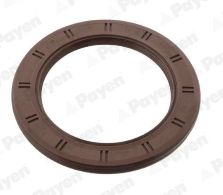 PAYEN Crankshaft seal Article number: NA5088 cheaply