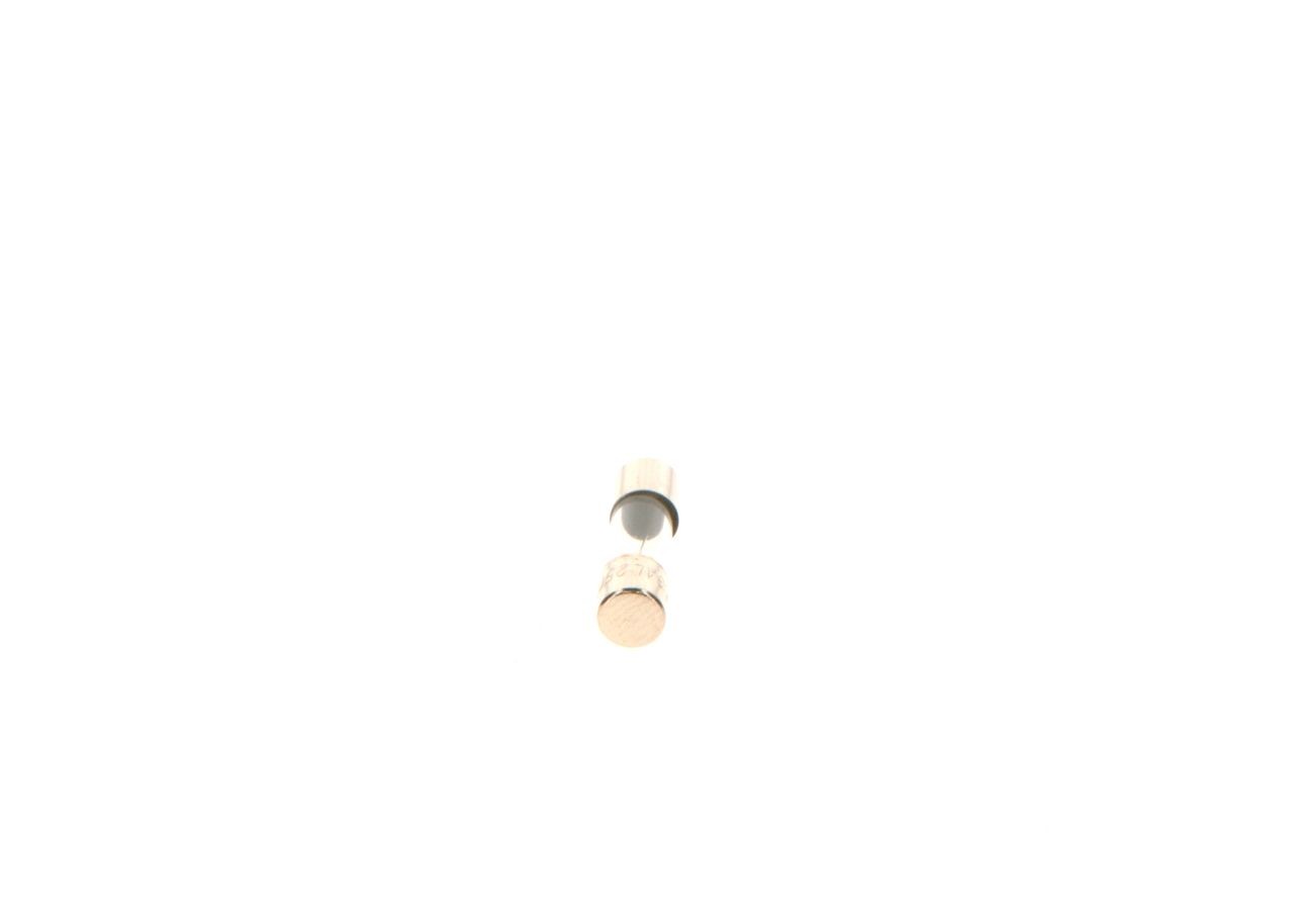 BOSCH Fuse Article number: 1 904 522 750 cheaply