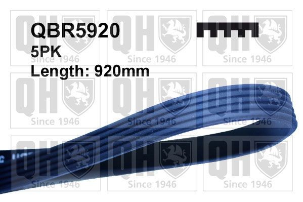 QUINTON HAZELL Serpentine belt Article number: QBR5920 cheaply