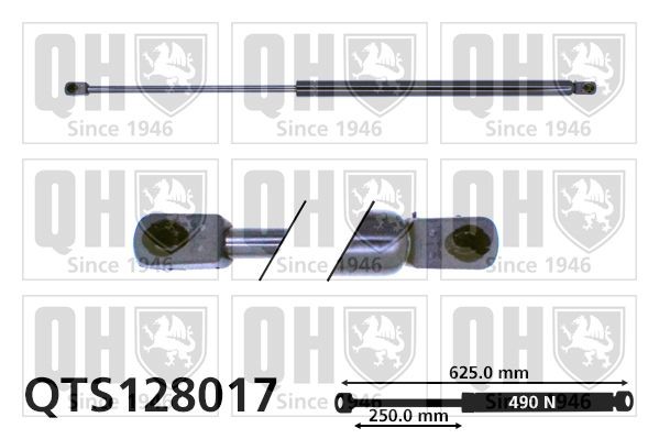 QUINTON HAZELL Tailgate strut Article number: QTS128017 cheaply