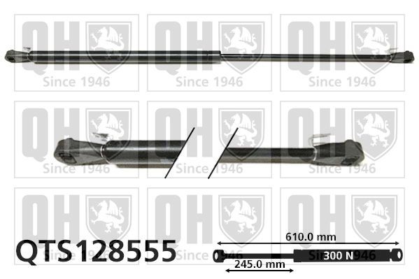 QUINTON HAZELL Tailgate strut Article number: QTS128555 cheaply
