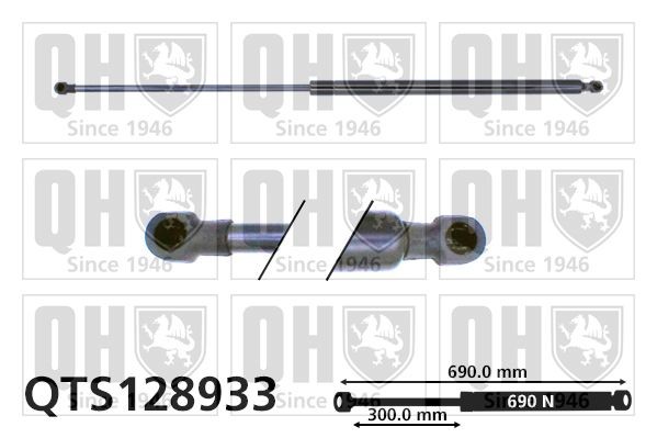 QUINTON HAZELL Tailgate strut Article number: QTS128933 cheaply