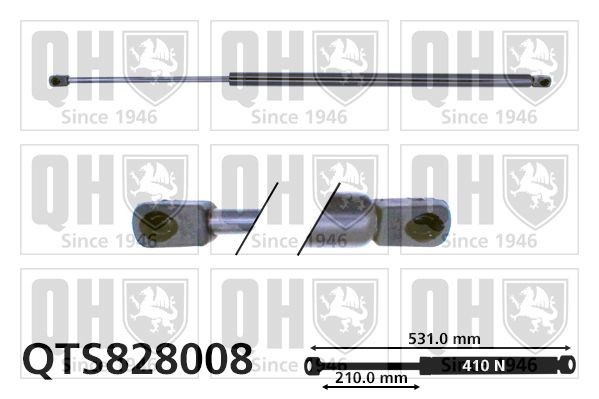 QUINTON HAZELL Tailgate strut Article number: QTS828008 cheaply