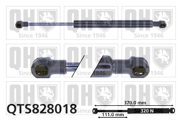 QUINTON HAZELL Tailgate strut Article number: QTS828018 cheaply