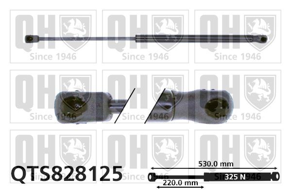 QUINTON HAZELL Bagklapsdæmper Varenummer: QTS828125 billige