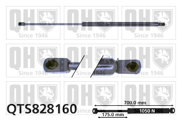 QUINTON HAZELL Tailgate strut Article number: QTS828160 cheaply