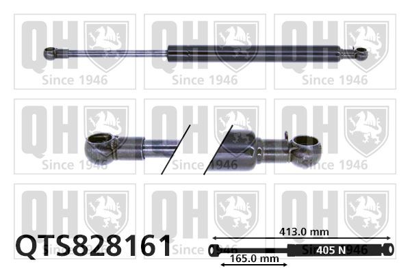 QUINTON HAZELL Tailgate strut Article number: QTS828161 cheaply