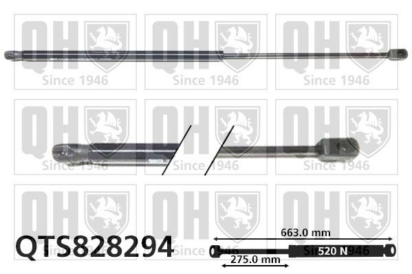 QUINTON HAZELL Tailgate strut Article number: QTS828294 cheaply