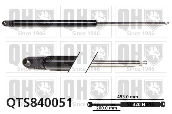 QUINTON HAZELL Gaasivedru, pagasi- / veoruum Artikli number: QTS840051 soodsalt