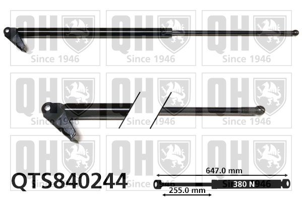 QUINTON HAZELL Tailgate strut Article number: QTS840244 cheaply
