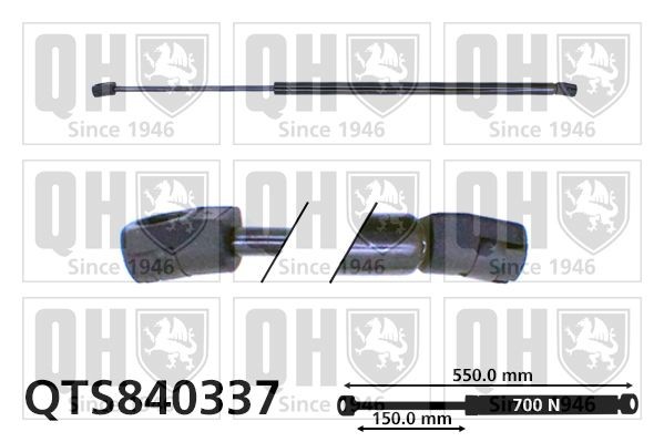 QUINTON HAZELL Tailgate strut Article number: QTS840337 cheaply